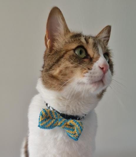 Cat/Tiny Dog Bow Tie: Sunny Day - Wool & Water