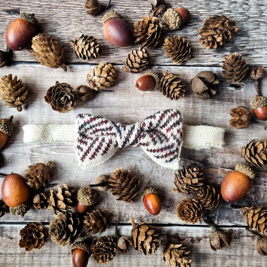 Autumn in Amsterdam Bow Tie - Wool & Water