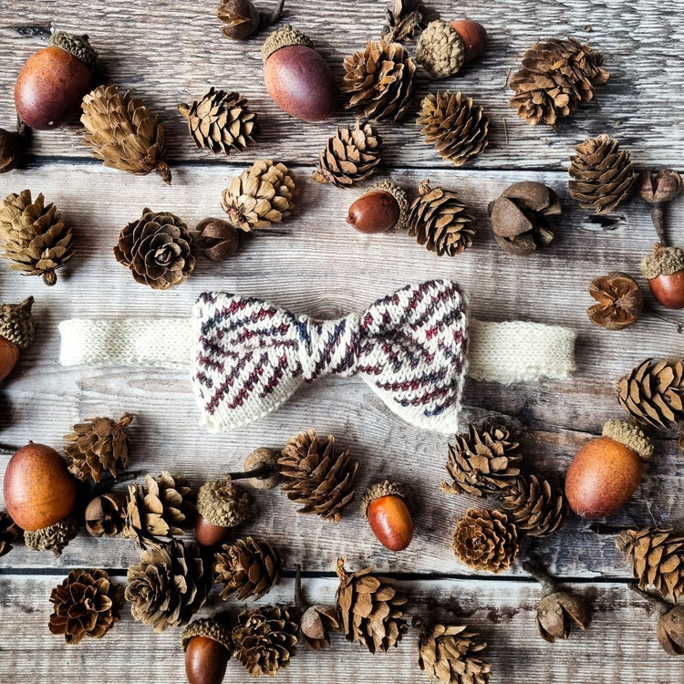 Autumn in Amsterdam Bow Tie - Wool & Water