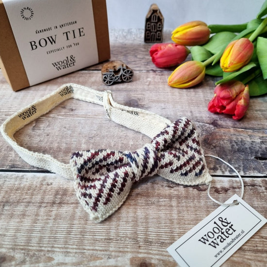 Autumn in Amsterdam Bow Tie - Wool & Water