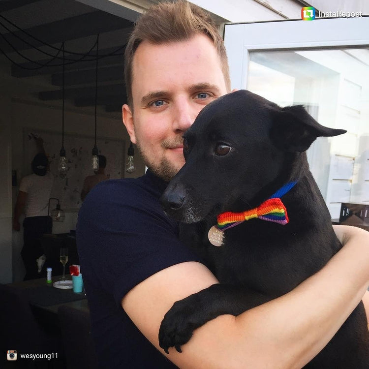 Bow Tie Bundle: Dog + Hooman Set - Wool & Water