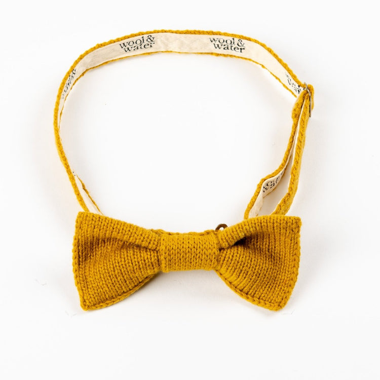 Butterscotch Yellow Bow Tie - Wool & Water