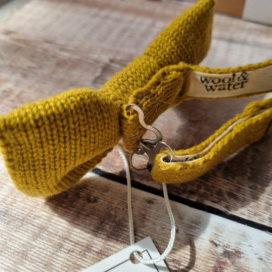 Butterscotch Yellow Bow Tie - Wool & Water
