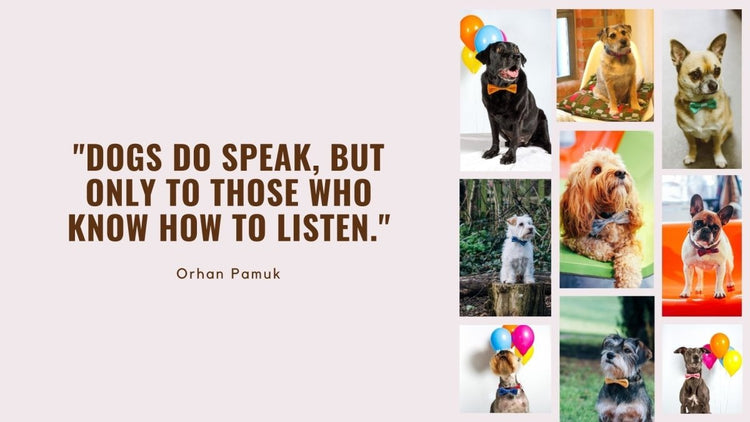 FREE Dogs in Bow Ties Desktop Wallpaper - Wool & Water