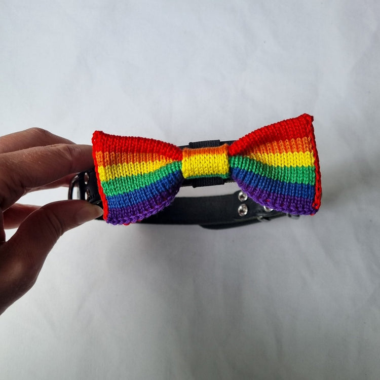 Rainbow / PRIDE Dog Bowtie: Small - Medium Dog - Wool & Water