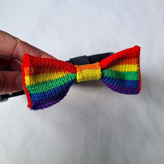 Rainbow / PRIDE Dog Bowtie: Small - Medium Dog - Wool & Water