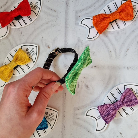 RainBOW Ties : Cat - Tiny Dog (6 colours available) - Wool & Water