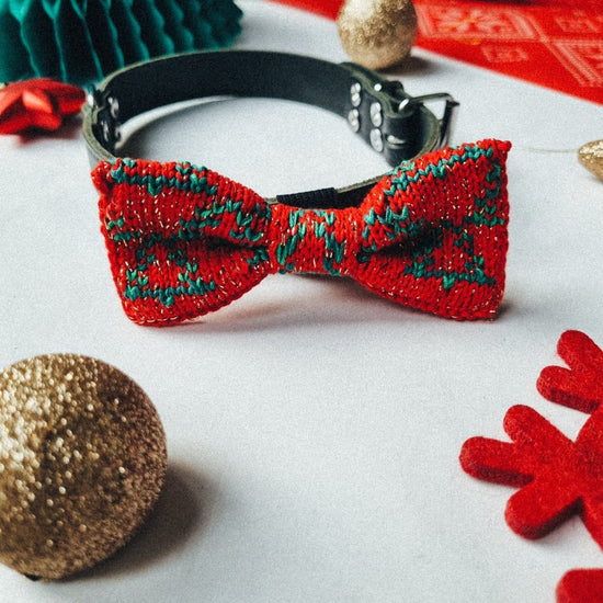 Small - Medium Dog Bow Tie: Festive Trees - Wool & Water