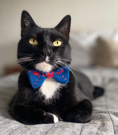 The Love Bow Tie (Petrol Blue + Reds) : Cat/Tiny Dog - Wool & Water
