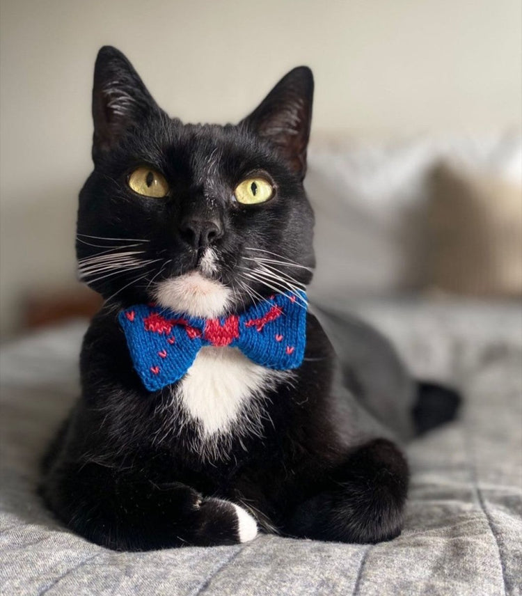 The Love Bow Tie (Petrol Blue + Reds) : Cat/Tiny Dog - Wool & Water