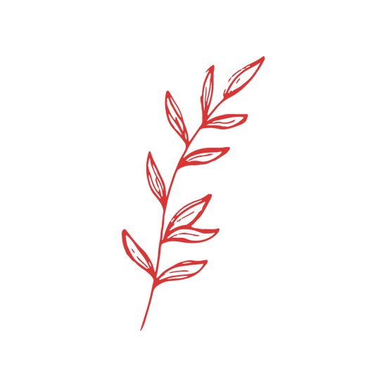 Sustainably Made
