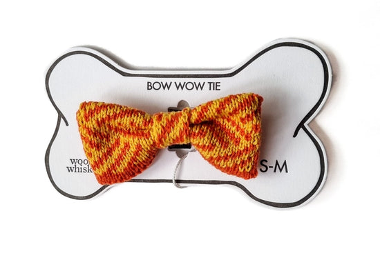 Small - Medium Dog Bow Tie: Orange Zest - Wool & Whiskers