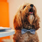 Large Dog Bow Tie (3 colours available) - Wool & Water