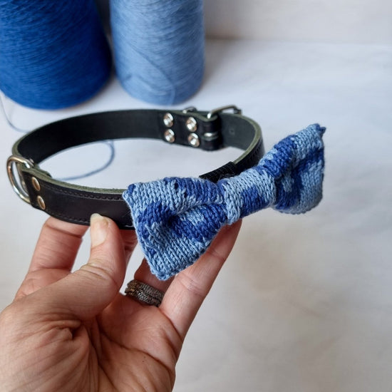 Fuss Free and Dog Friendly