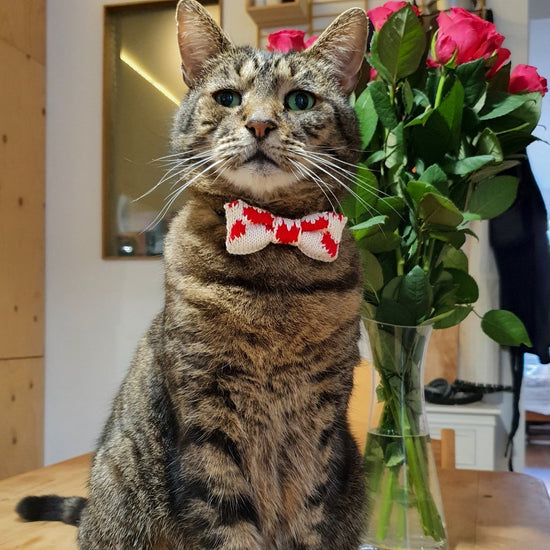 The Love Bow Tie (Cream + Red) : Cat/Tiny Dog - Wool & Water